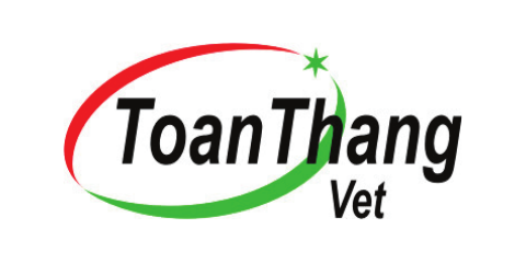                TOÀN THẮNG VET