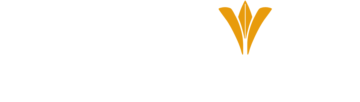 footer logo